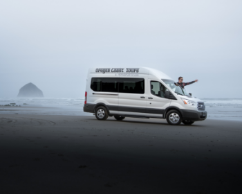 Van at McPhillips Beach