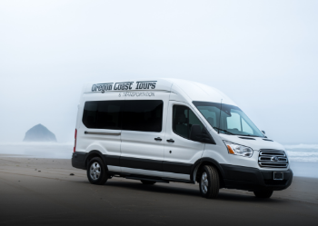 Van on McPhillips Beach